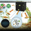 Aqualanès™ Eco-Aquarium Wasseraufbereitungswürfel