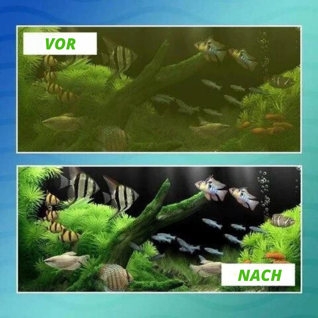 Aqualanès™ Eco-Aquarium Wasseraufbereitungswürfel