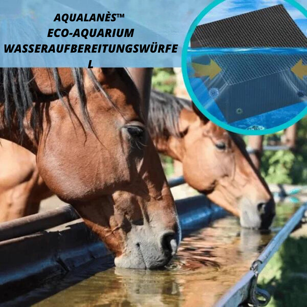 Aqualanès™ Eco-Aquarium Wasseraufbereitungswürfel