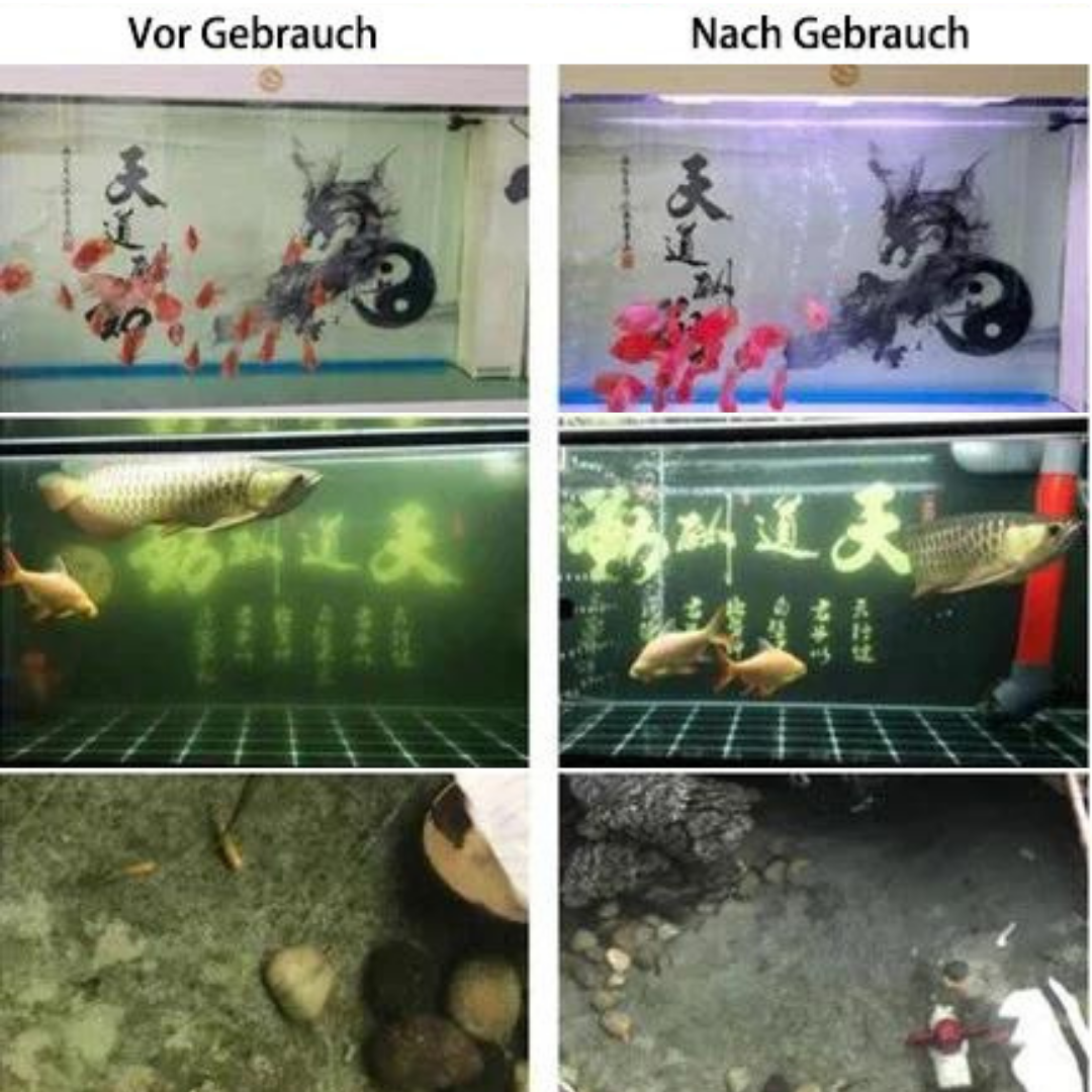 Aqualanès™ Eco-Aquarium Wasseraufbereitungswürfel