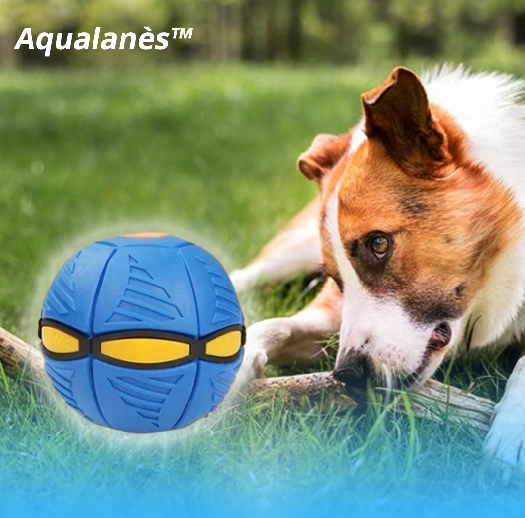 Aqualanès™ Doggy Disc Ball